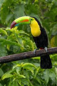 Beaches of Costa Rica